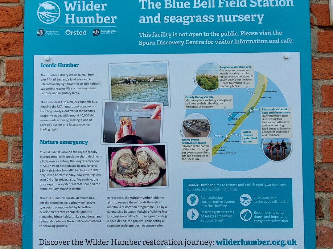 Spurn Discovery Centre-Kilnsea必去景点