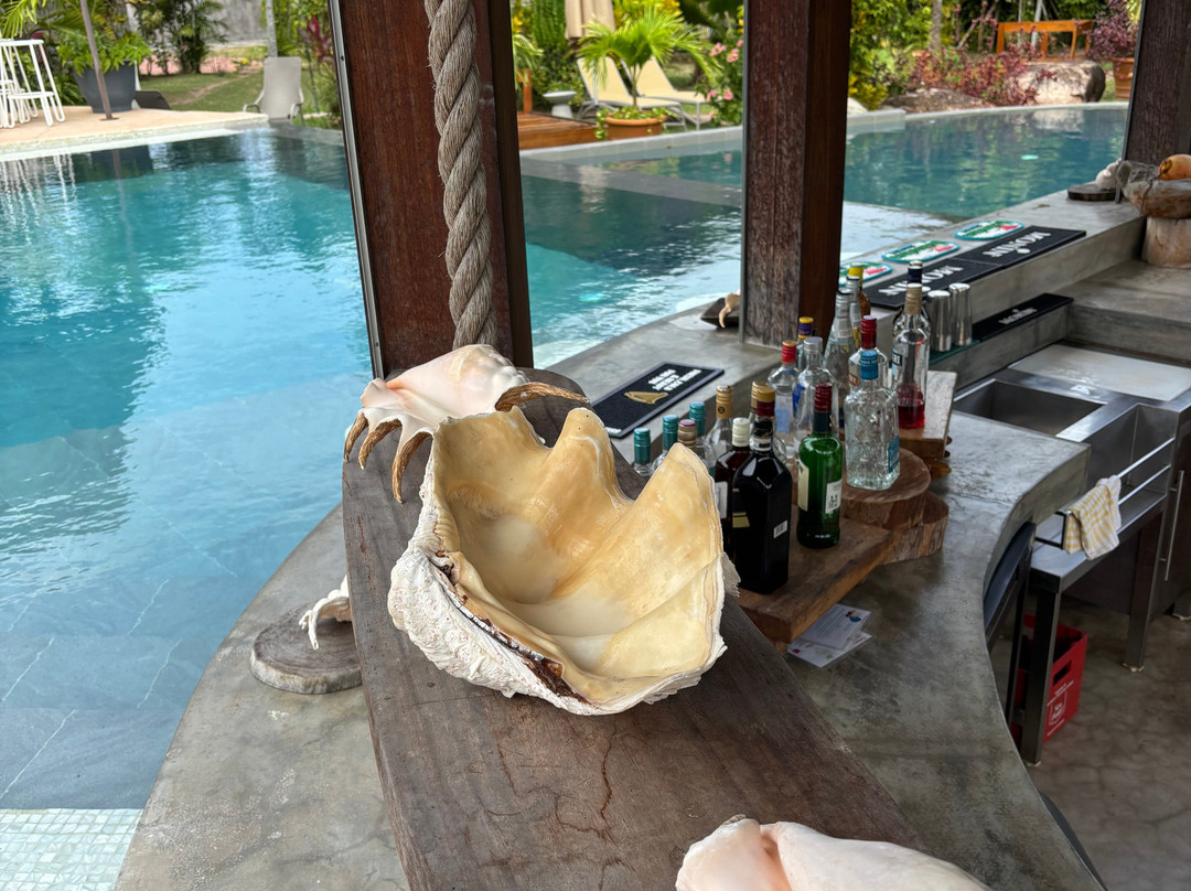 Les Lauriers Eco Hotel & Restaurant主图