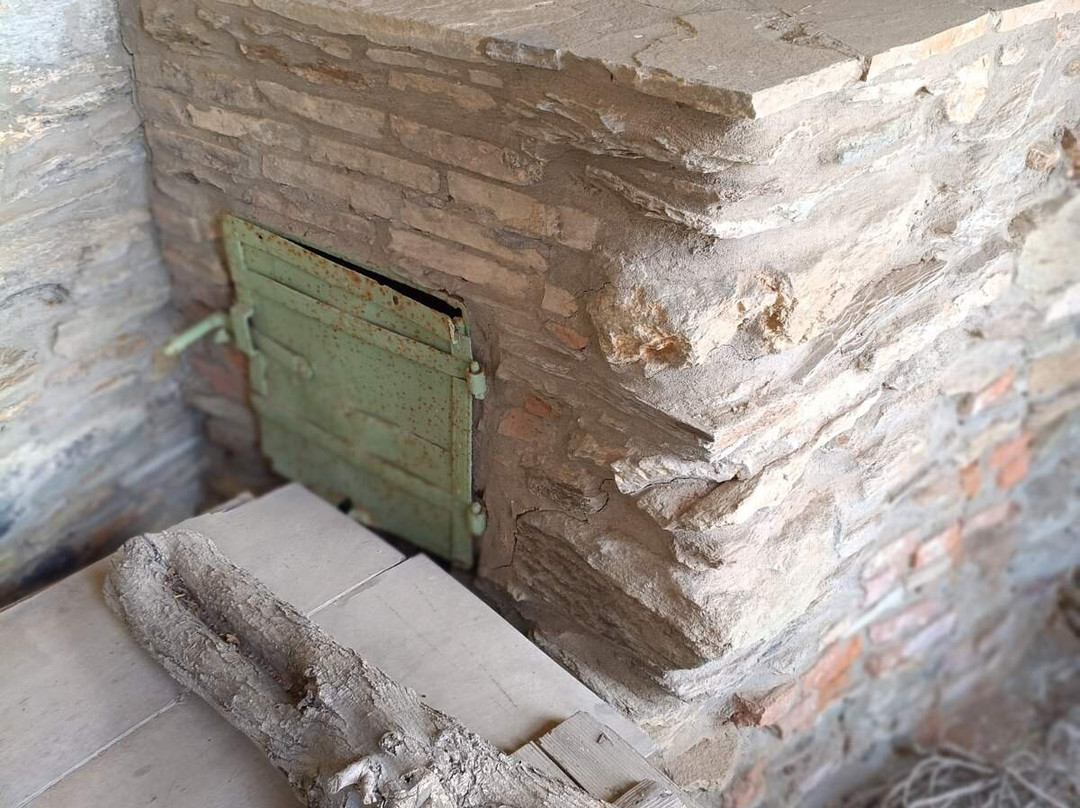 Cyclades Olive Museum-Pitrofos必去景点