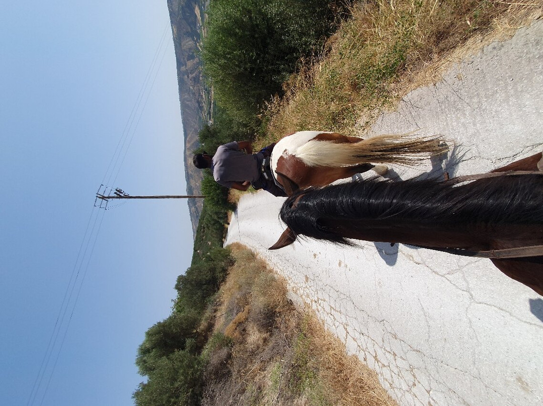 Finikia Horseriding-Finikia必去景点