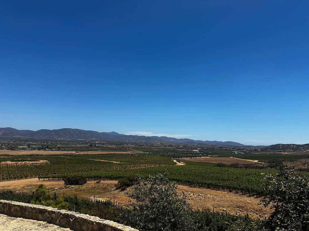 Las Nubes Bodegas y Viñedos-Valle de Guadalupe必去景点