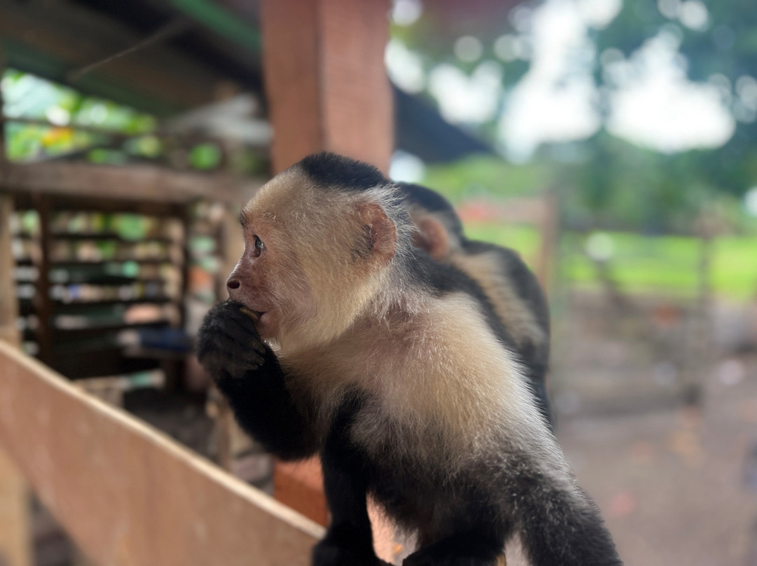 Mango's Adventures-艾拉杜拉必去景点