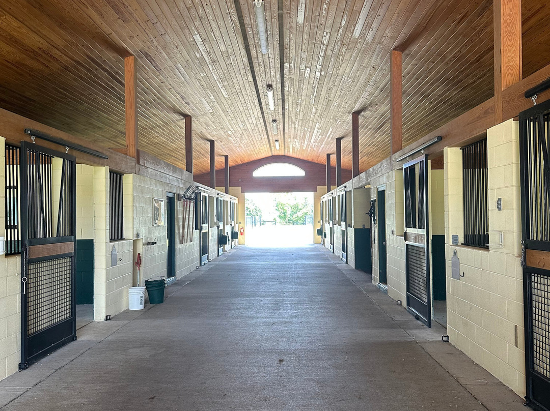 Runnymede Farm-Paris必去景点