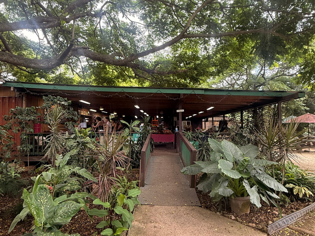 North Shore Macadamia Nut Company-哈雷瓦必去景点