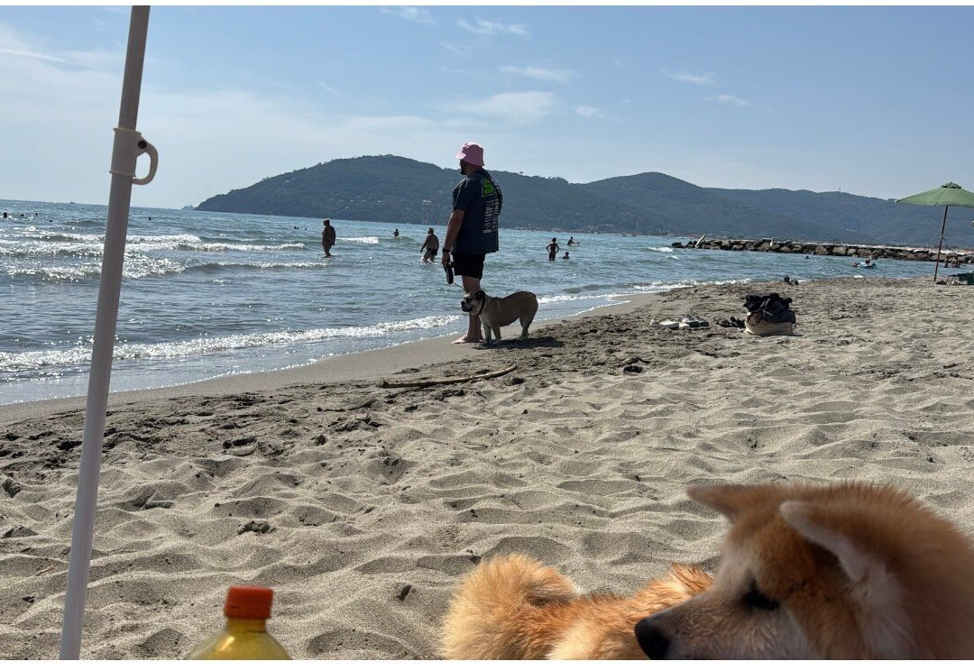Bau Bau Beach-Marina di Carrara必去景点