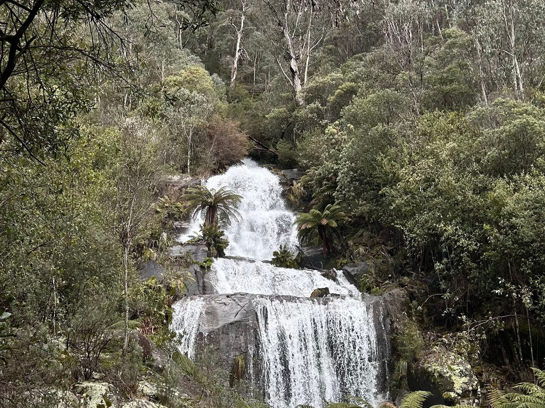 Fainter Falls-Mount Beauty必去景点