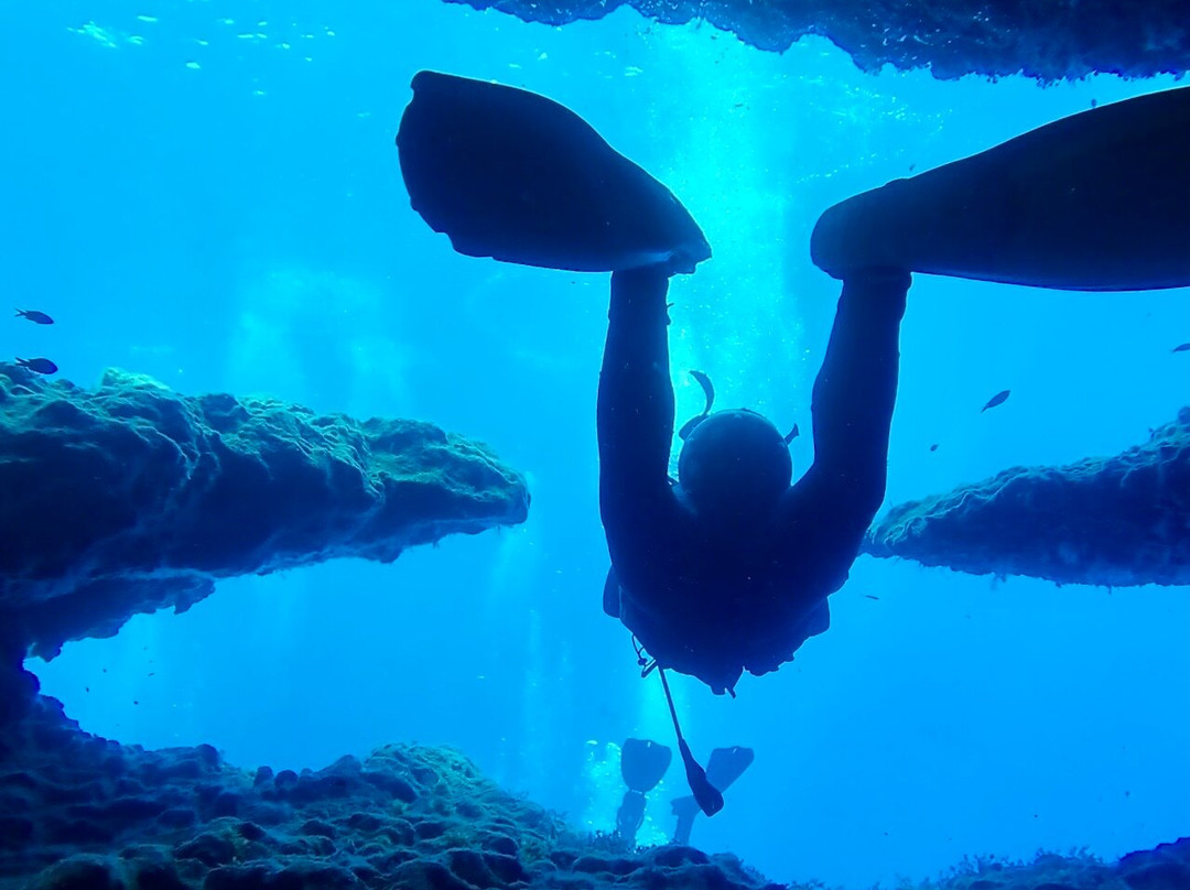 Atlantis Diving Center-Marsalforn必去景点