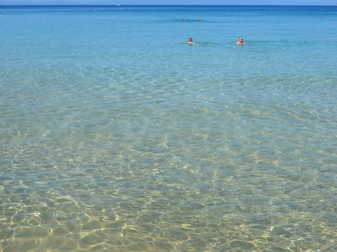 Kalogrias Beach-Stoupa必去景点