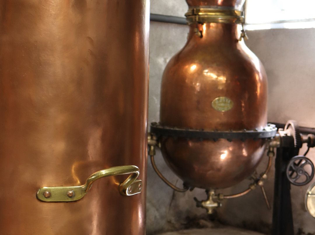 Maison Salettina distillerie-Corps必去景点