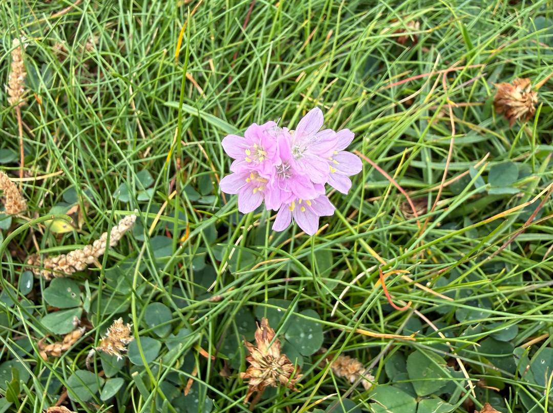 Heart of Burren Walks-Carran必去景点