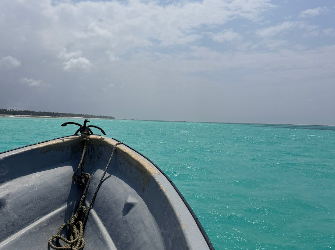 Best Zanzibar Snorkeling tours-桑给巴尔市必去景点