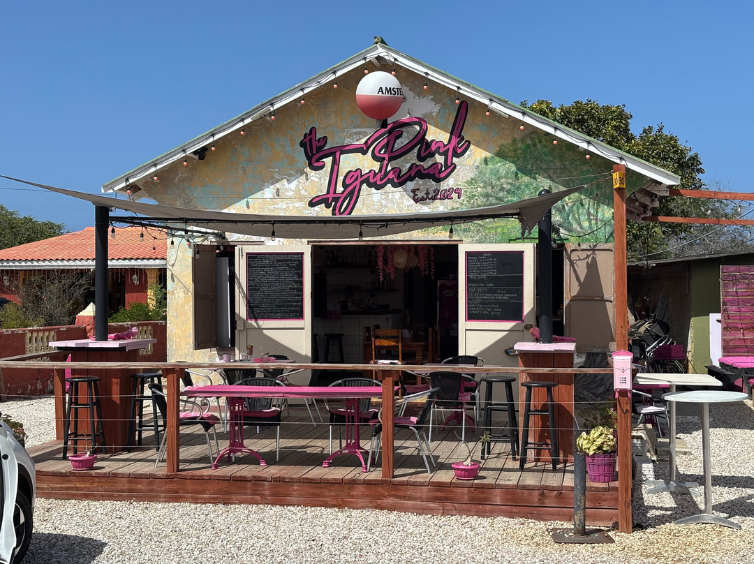 The Pink Iguana