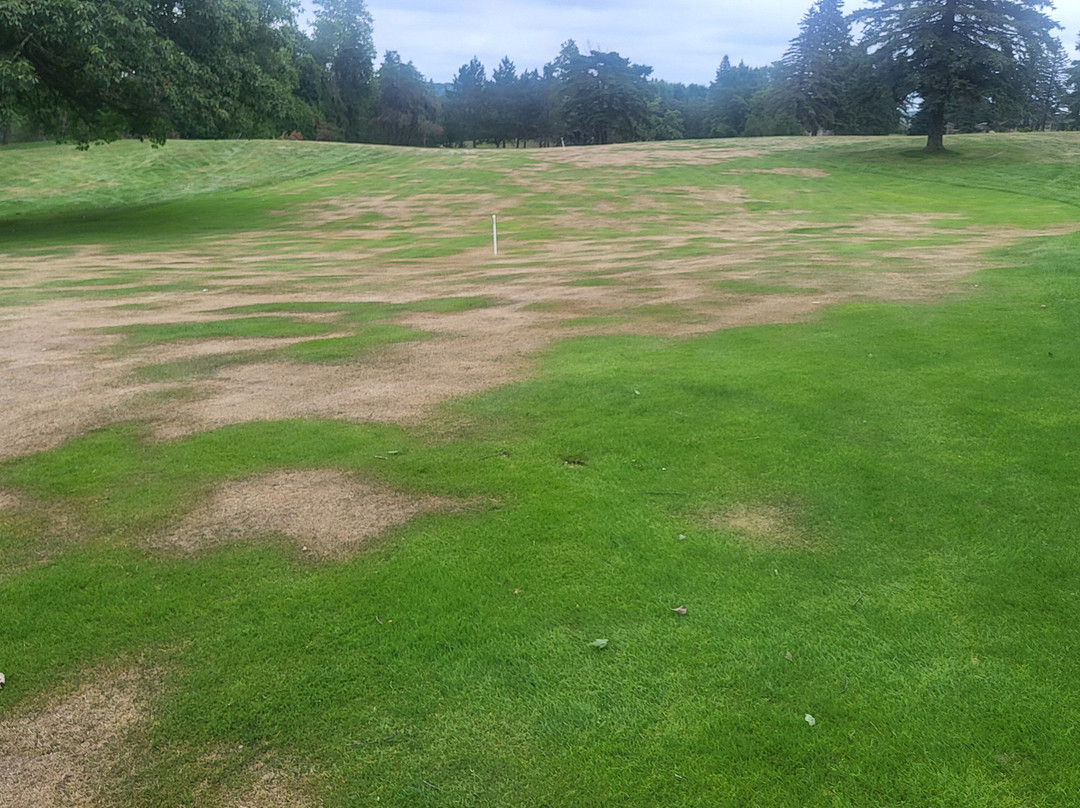 Evergreen Resort Golf Courses-Cadillac必去景点