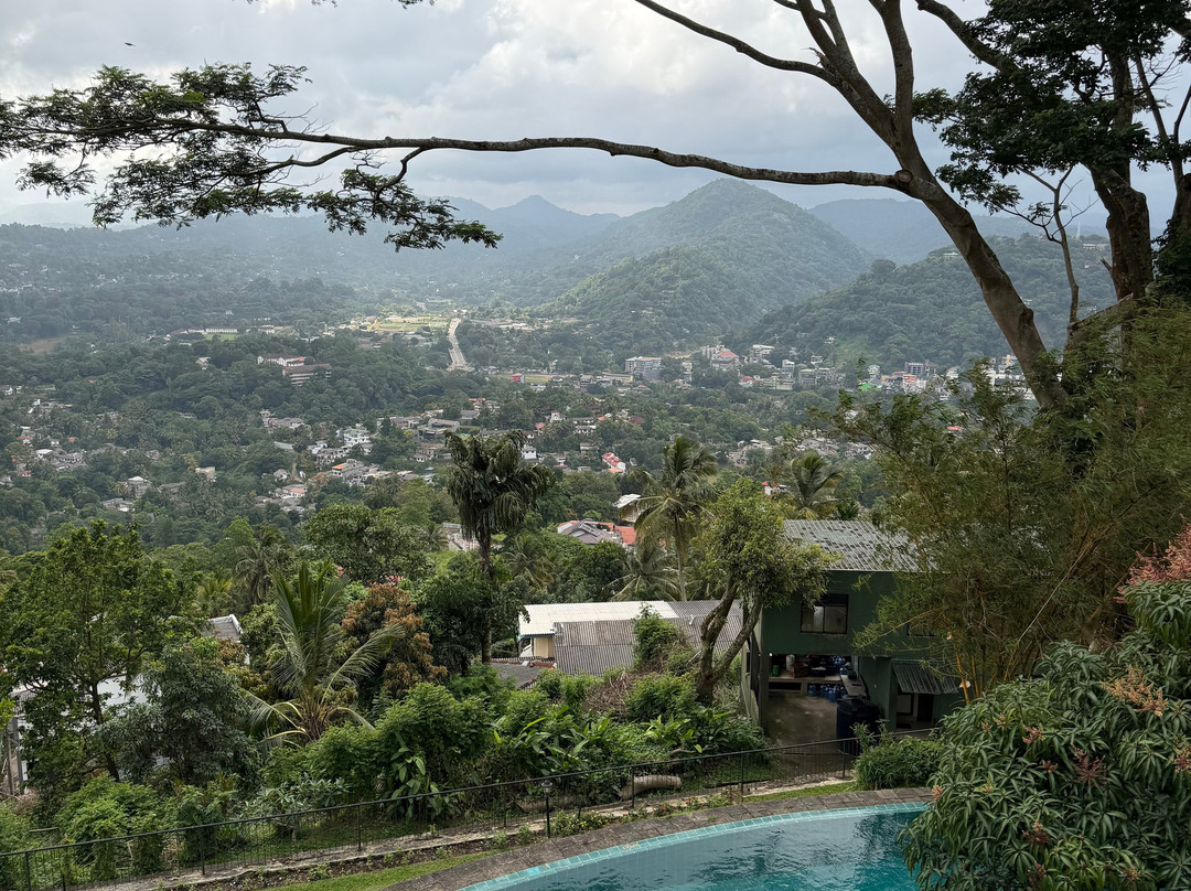 Mount Randholee Resorts & Spa主图