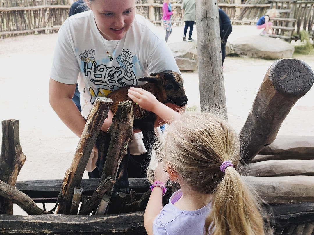 Safari Park Dvur Kralove-Dvur Kralove nad Labem必去景点