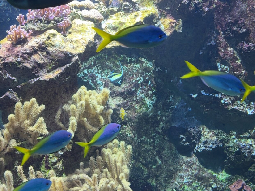 Grand Aquarium-圣马洛必去景点