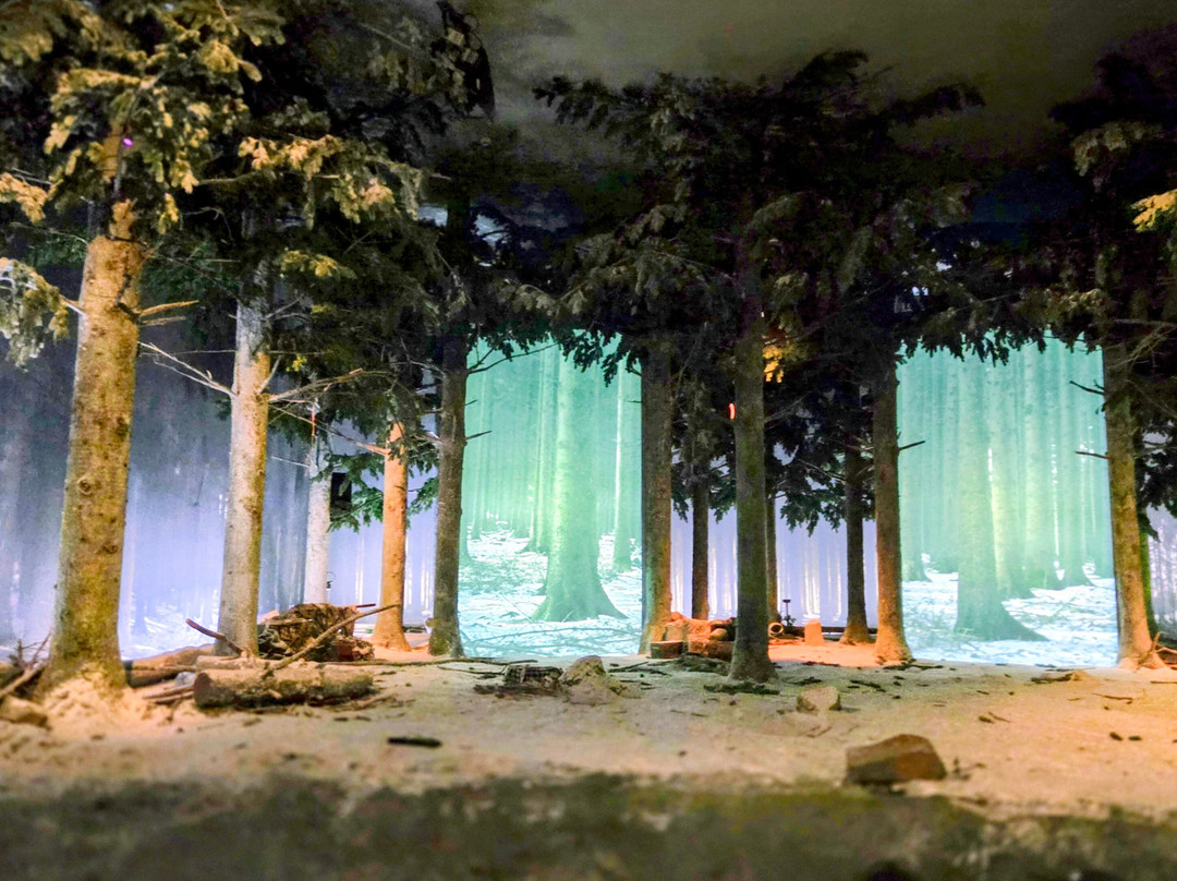 Bastogne War Museum-巴斯东必去景点
