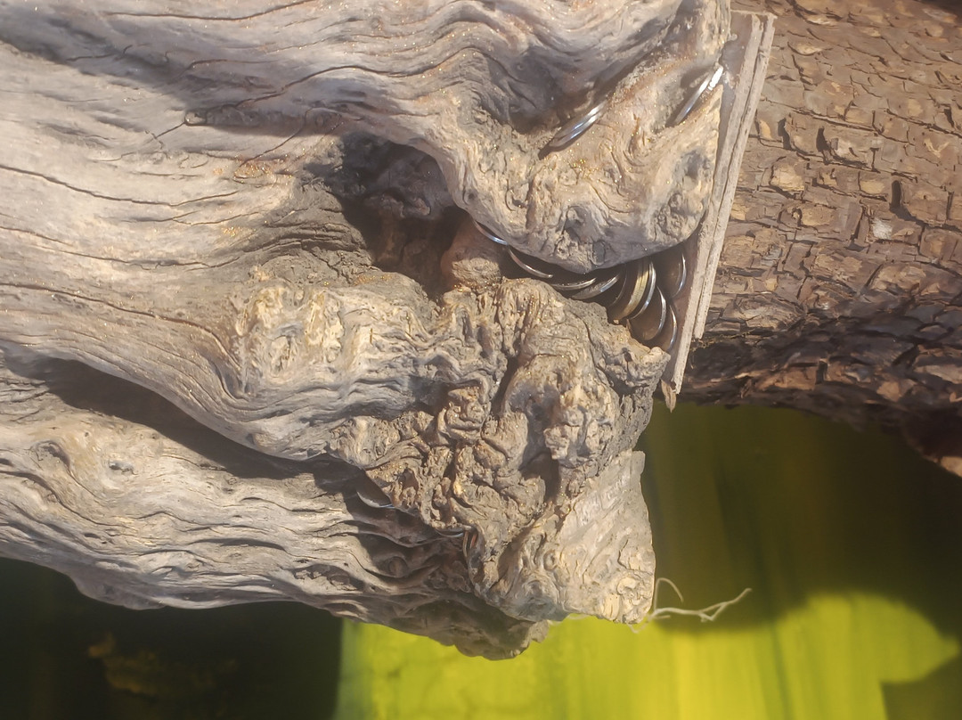 La Casa de los Duendes