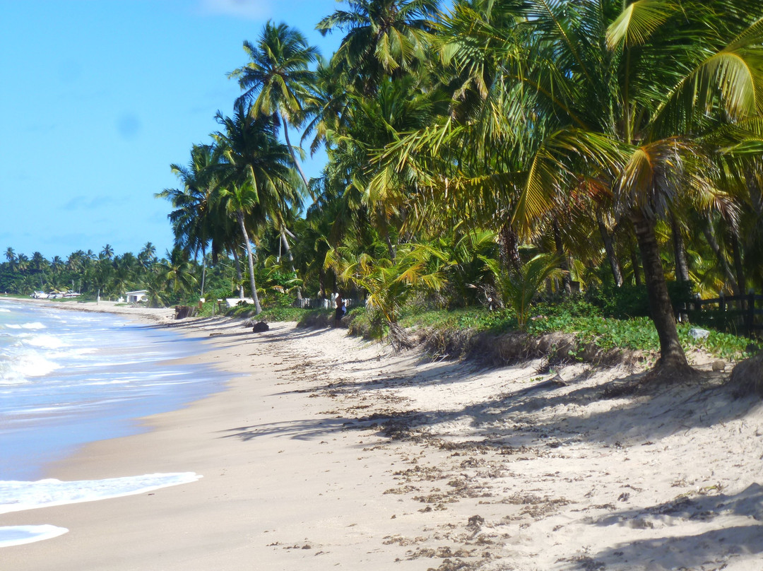 Antunes Beach-Maragogi必去景点