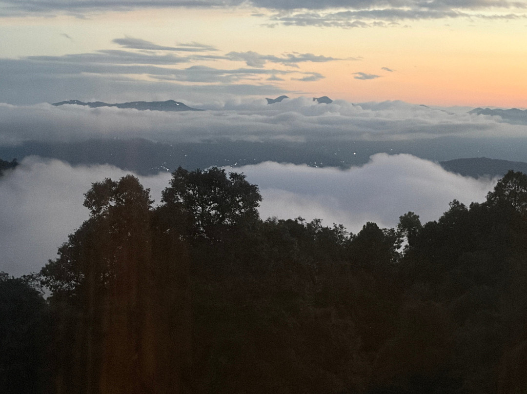 Nine Furlongs, Binsar Wildlife Sanctuary主图