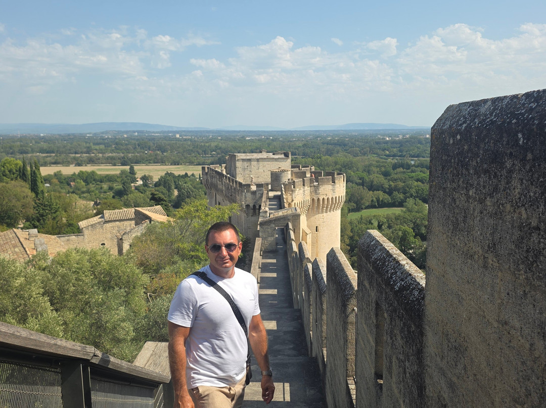 Fort Saint-andré-阿维尼翁新城必去景点