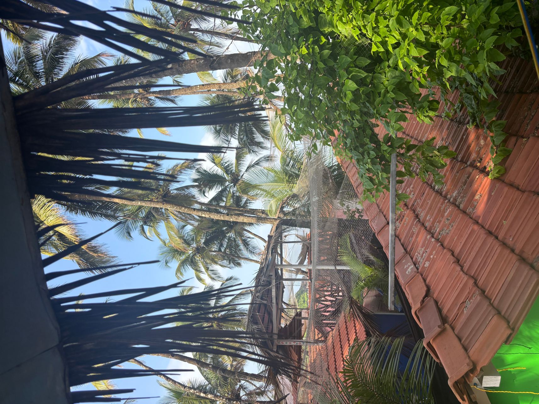 果阿艺术度假村-旅行者