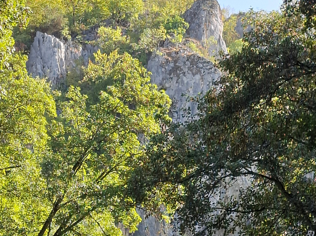 Wimsener Höhle-Hayingen必去景点