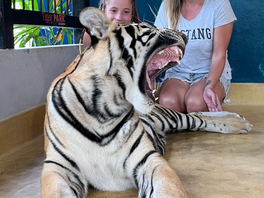 Tiger PARK Phuket-查龙必去景点