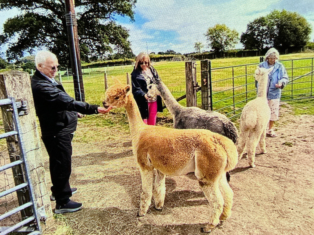 Reservoir Alpacas-Chard必去景点