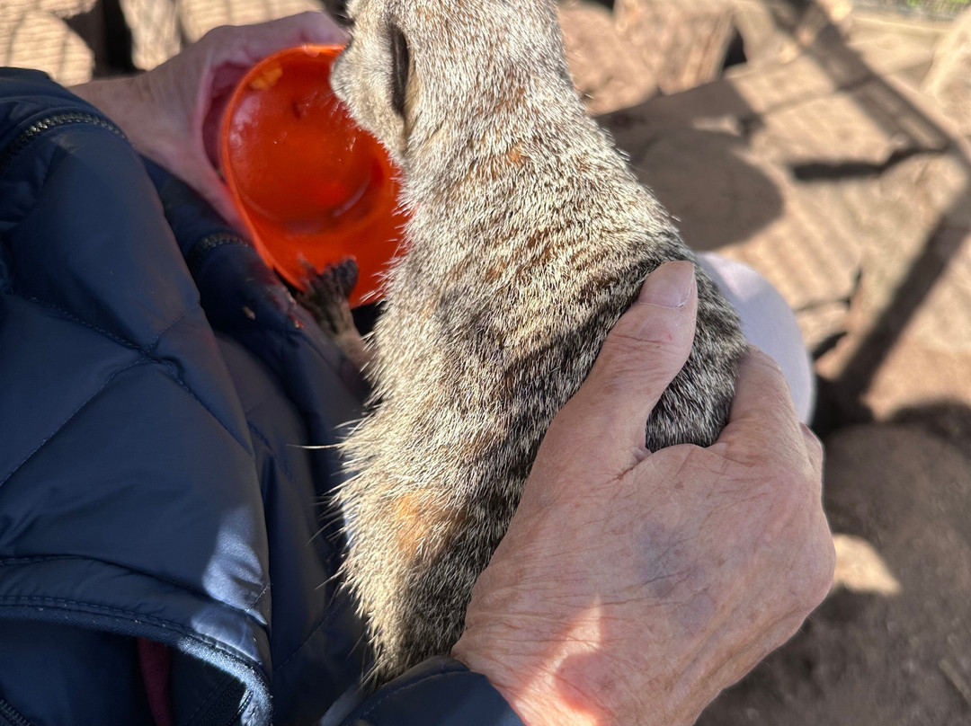 Lucky Tails Alpaca Farm-Atherstone必去景点