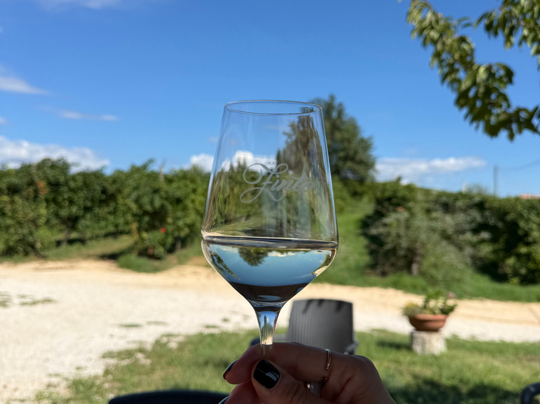 Cantina Zinto - Società Agricola Da Lozzo Romeo Ed Enrico s.s-科内利亚诺必去景点