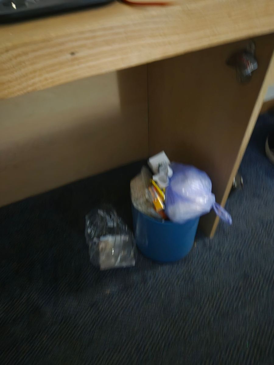 伦敦基尤桥旅客之家酒店-旅行者