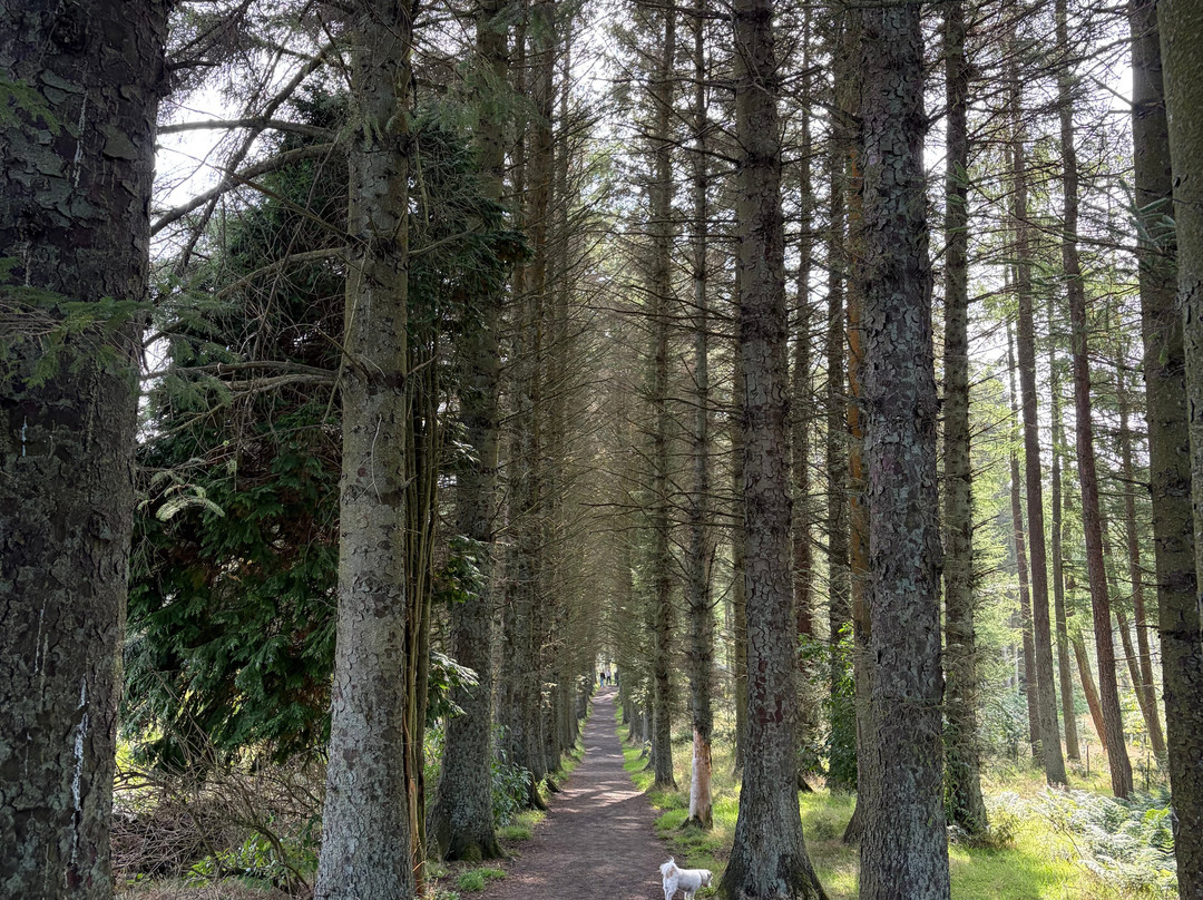 Beecraigs Country Park-林利斯戈必去景点