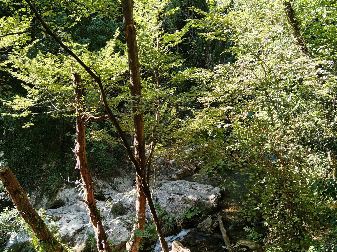 Valle delle Ferriere-阿马尔菲必去景点