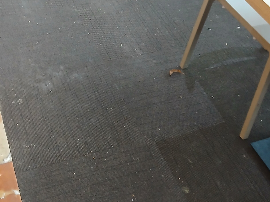 比阿特丽斯科斯塔水疗酒店主图