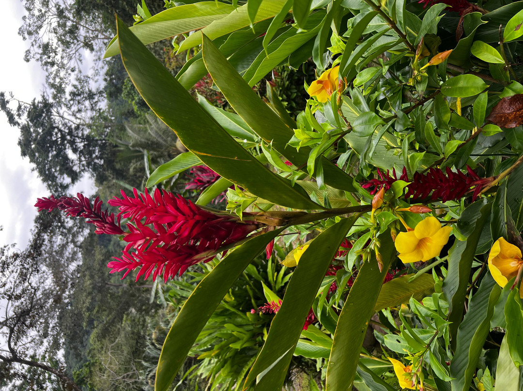 Cacao Trails Culture Tour-Hone Creek必去景点