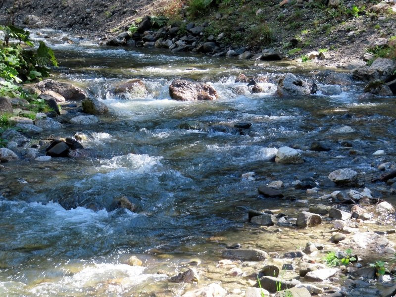 Torrente Fiorentina-Selva di Cadore必去景点