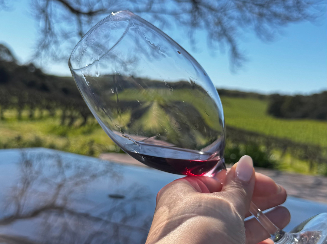 Zerella Wines-麦克拉伦谷必去景点
