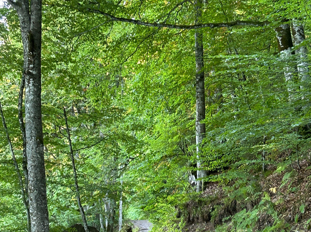 Lac Pavin-Besse-et-Saint-Anastaise必去景点