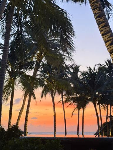 娇丽being度假村-旅行者