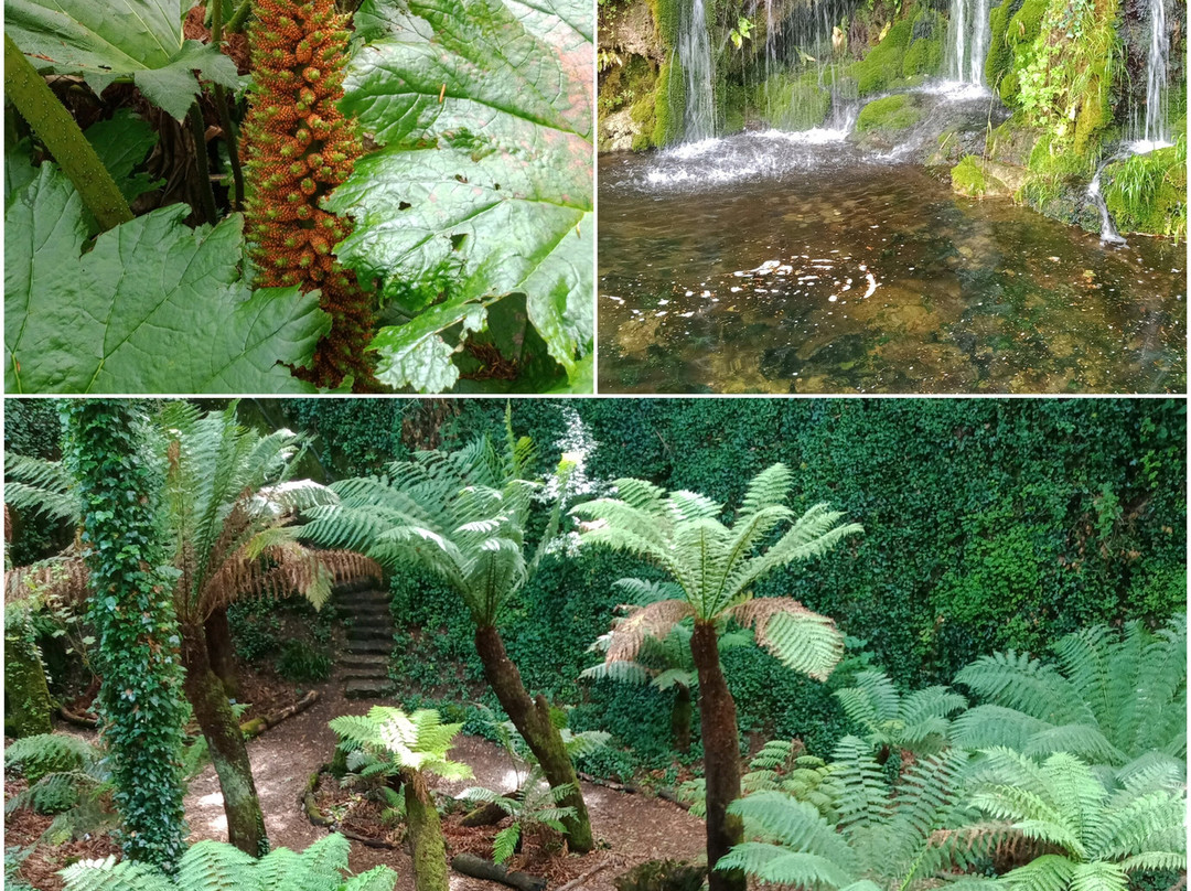 布拉尼城堡及花园-Blarney必去景点