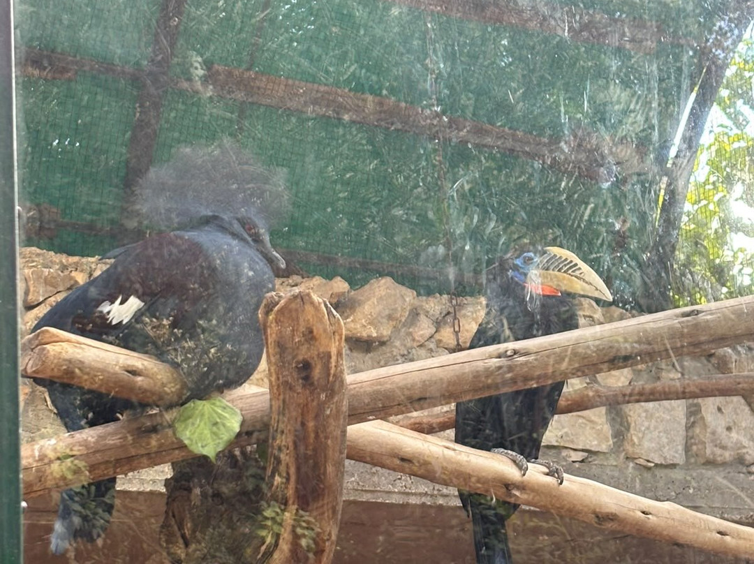 Tisch Family Zoological Gardens (Biblical Zoo)-耶路撒冷必去景点