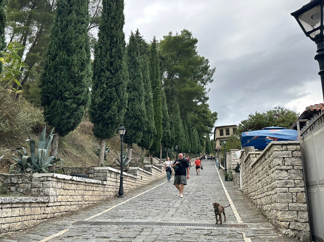Berat Castle-培拉特必去景点