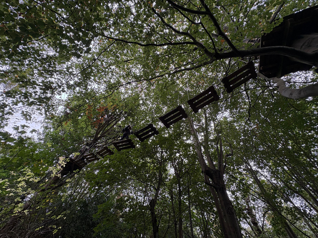 Go Ape Leeds Castle-Leeds必去景点