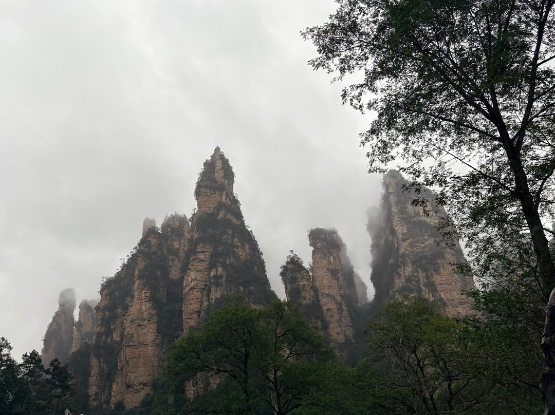 China Educational Tours-桂林市必去景点