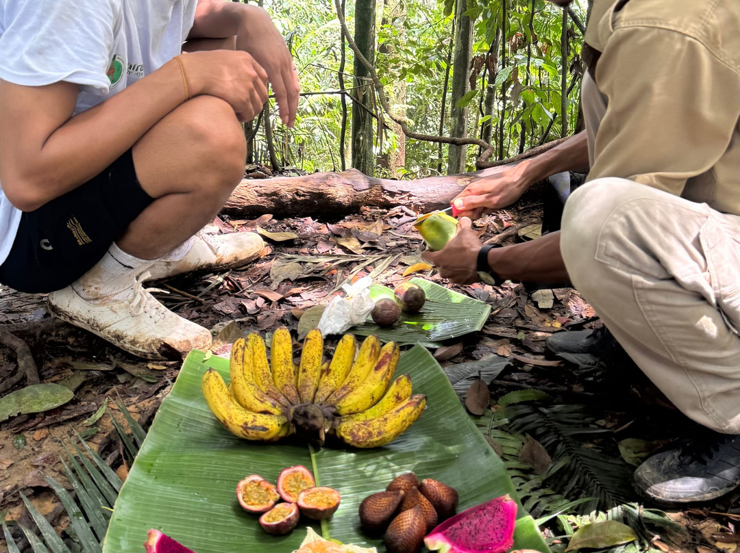 Sumatra Tour Adventures-武吉拉旺必去景点