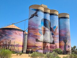 Silo Art Trail-Sheep Hills必去景点
