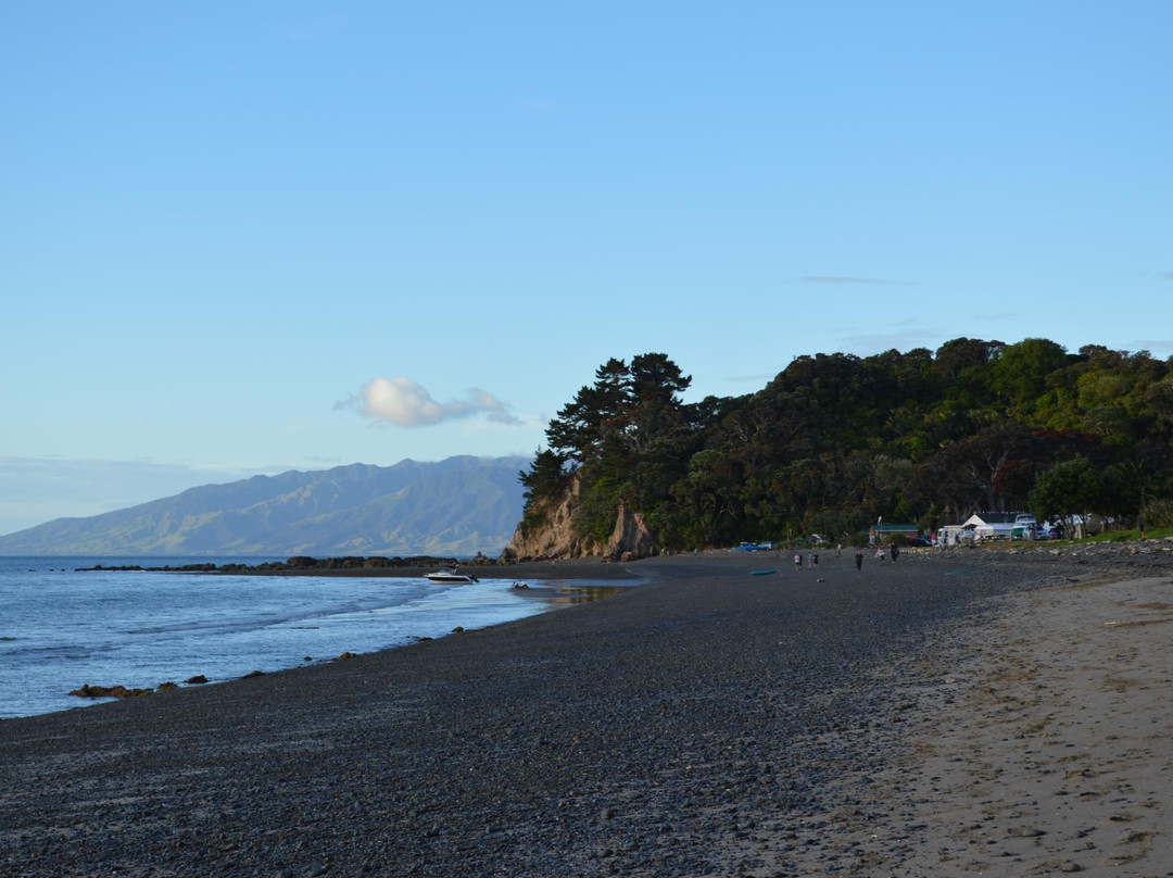 Whangaparapara旅游攻略图片