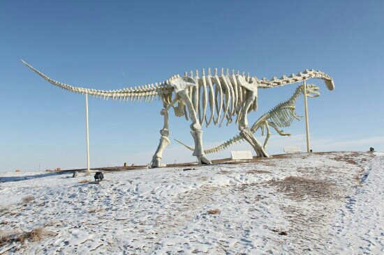 二连浩特市旅游景点-通古尔恐龙墓地
