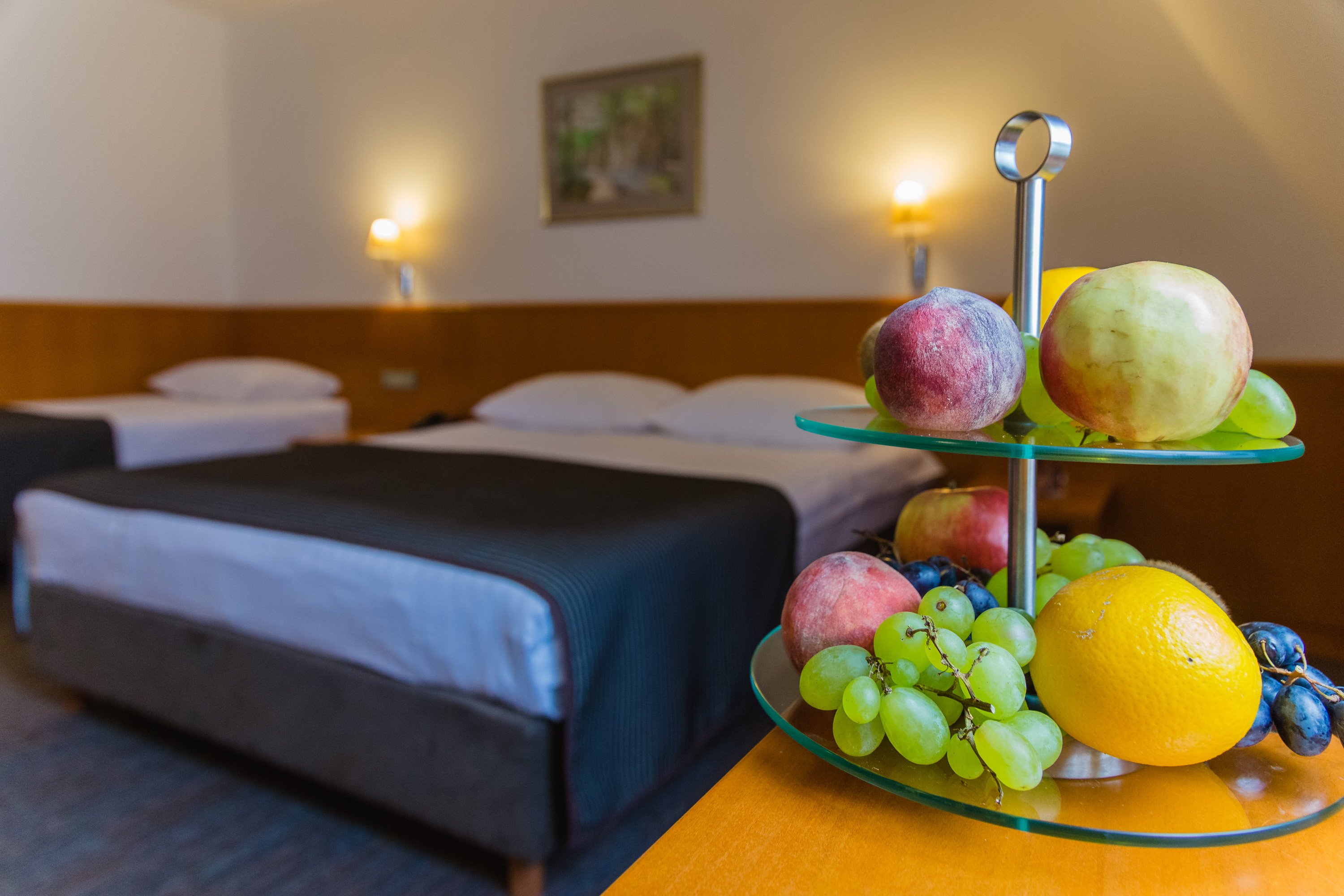 Grabovac Hotel-官方